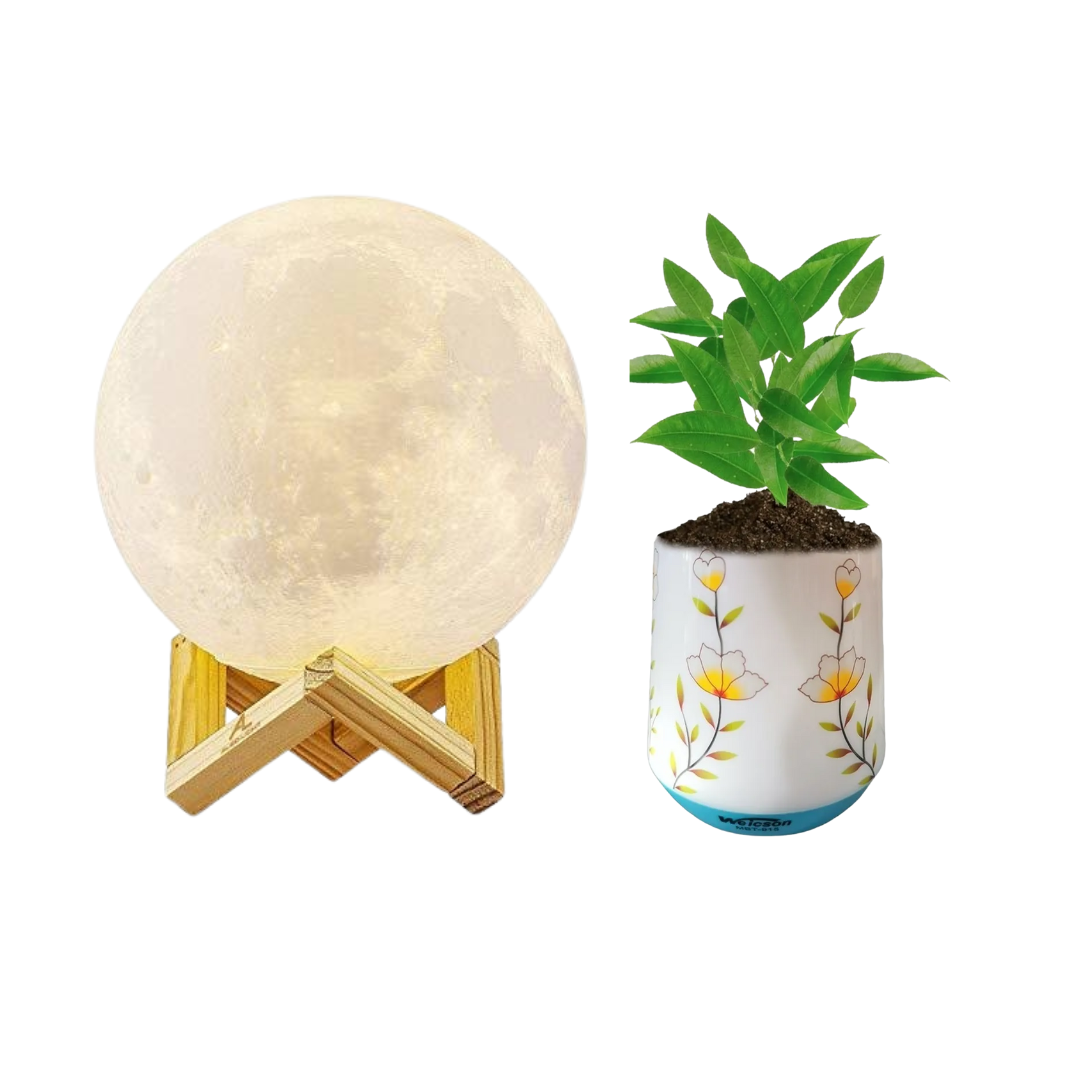 Combo Lámpara Luna & Maceta Musical Dosyu WMBT-915 DY-LP1 Multicolor