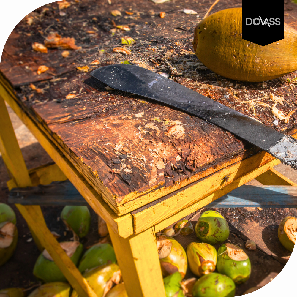 Machete Caguayano Hoja De Acero 27 Pulgadas Hoja De Acero Tipo Recto Con Remaches Metálicos Y Mangos De Plástico Para Una Mayor Estabilidad Y Control Gimex Color Negro