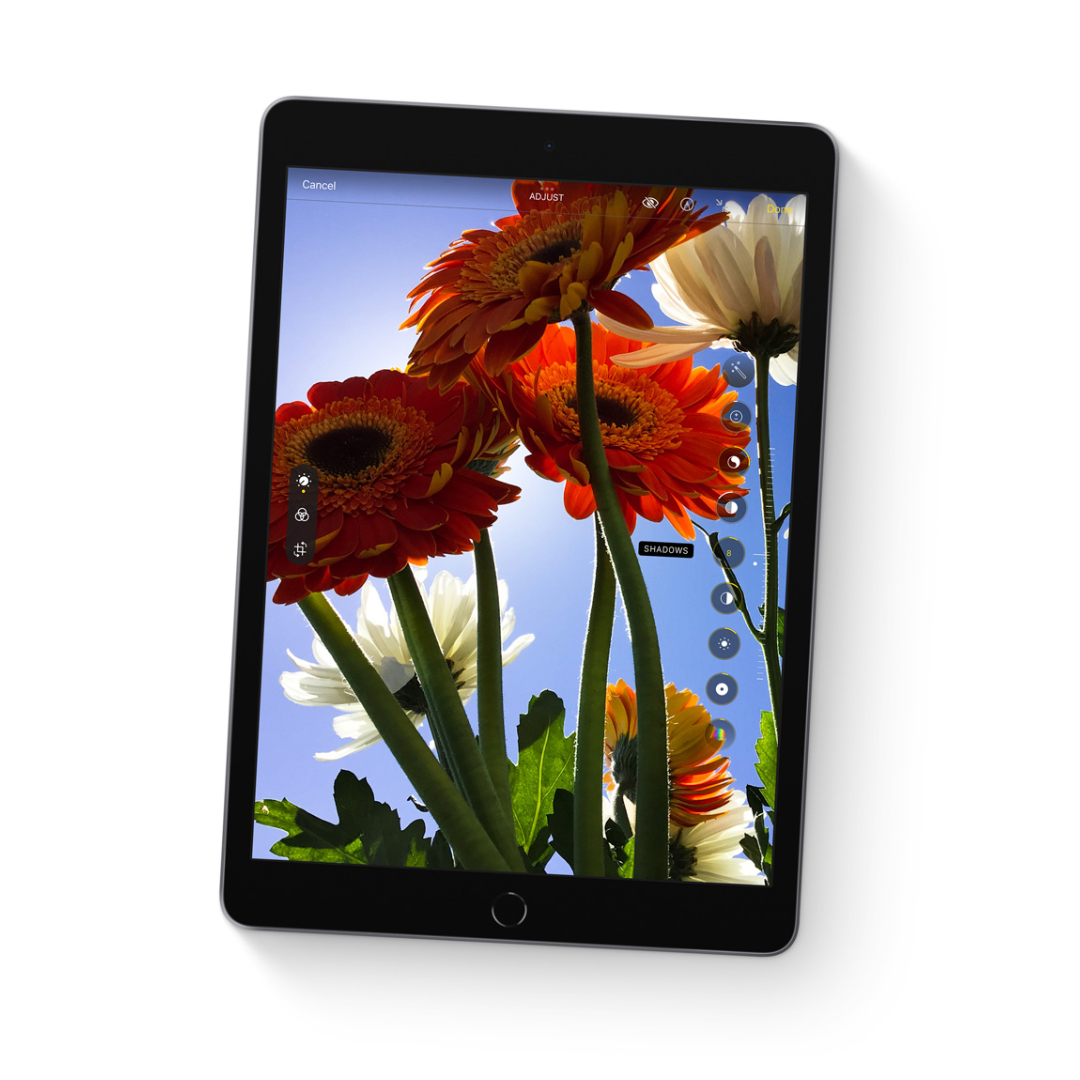 Tableta Apple iPad (9th Generation) A2604 - (10.2") - Dual-core (2 núcleos) 2.65GHz - 256GB - 4G Compatible con teléfono celular - MK4E3LZ/A - Gris Espacial