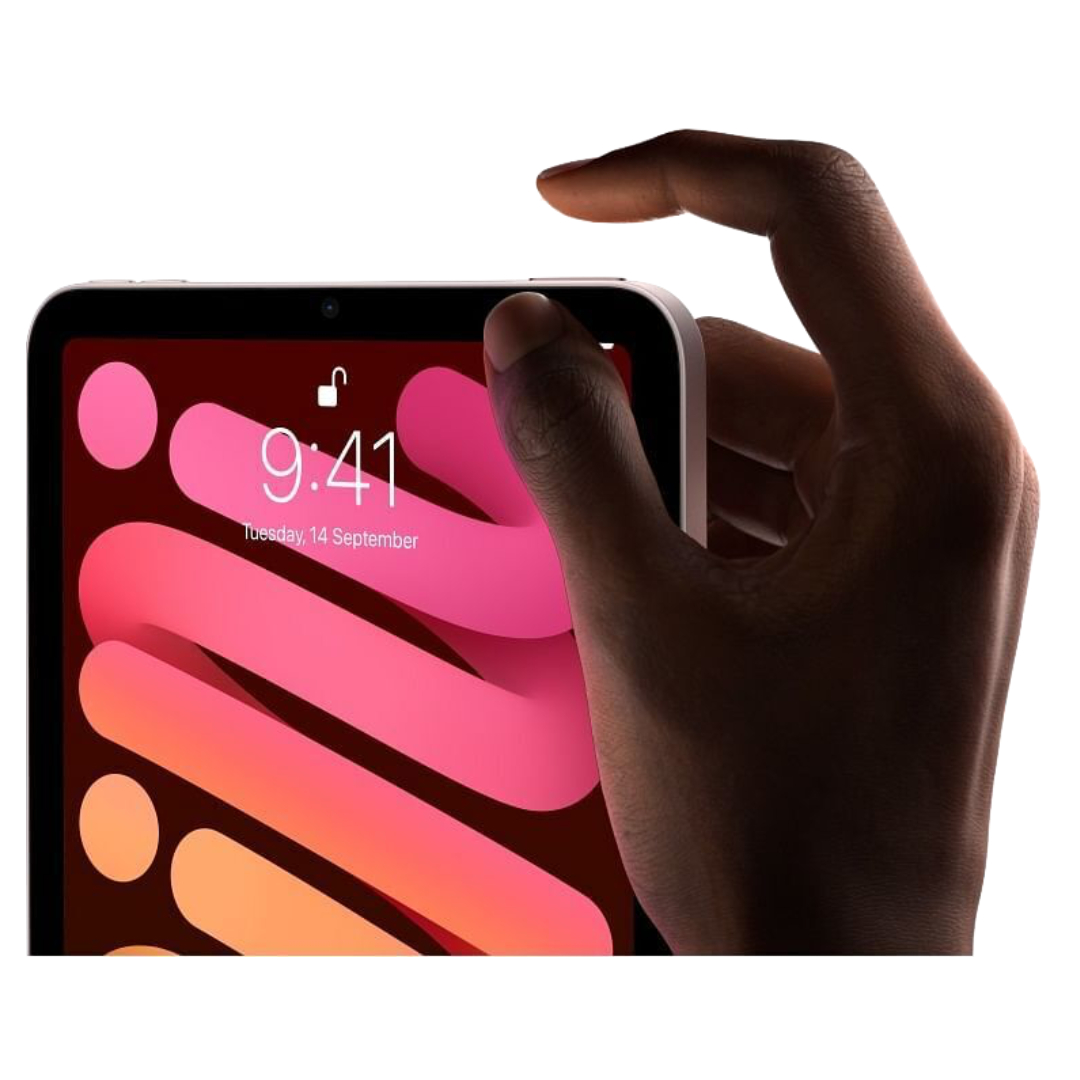 iPad mini Liquid Retina con True Tone de 8.3" 6a generación Wi-Fi 256 GB Rosa MLWR3LZ/A