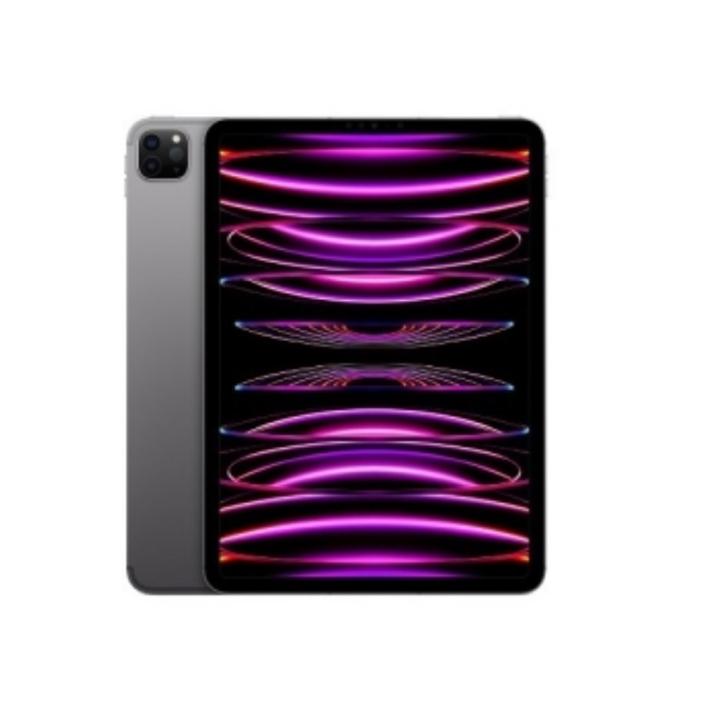 iPad Pro 11" A Chip M2 256GB Wi-Fi Celular Cámaras 12MP iPadOS