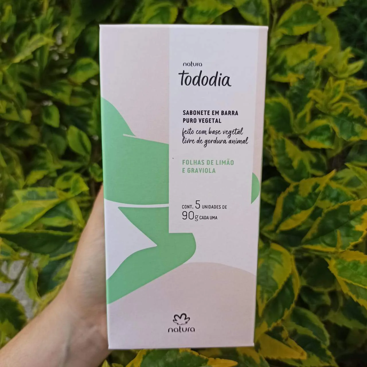 Jabones de Tocador Hojas de Limón y Guanabana 5 piezas de 90g Tododia Natura