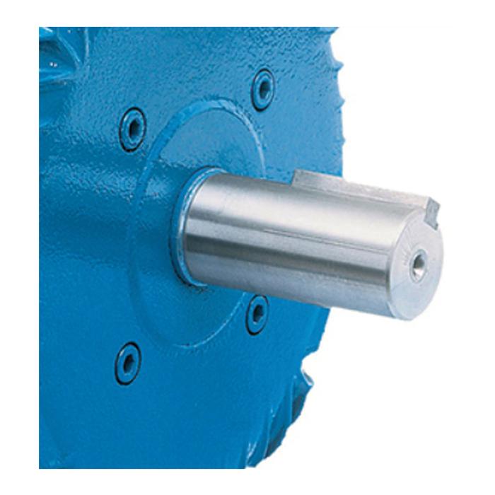 Motor Trifásico con multimontaje MXBLR-001-2 1HP 4 Polos 0,75kw 208-230460V 3F 60Hz Factor de Servicio 1,15, BlastMotor