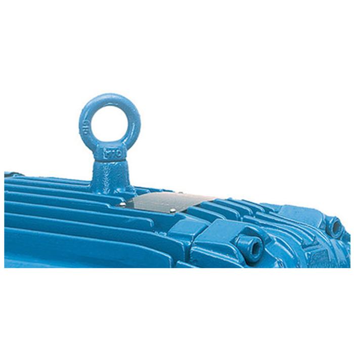 Motor Trifásico con multimontaje MXBLR-001-2 1HP 4 Polos 0,75kw 208-230460V 3F 60Hz Factor de Servicio 1,15, BlastMotor