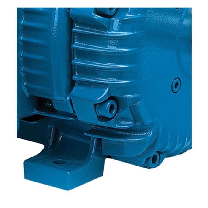 Motor Trifásico con multimontaje MXBLR-001-2 1HP 4 Polos 0,75kw 208-230460V 3F 60Hz Factor de Servicio 1,15, BlastMotor