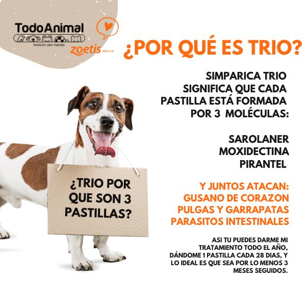 Desparasitante y Antipulgas Simparica Trio 20 A 40Kg Pulga Garrapata Gusano Corazón