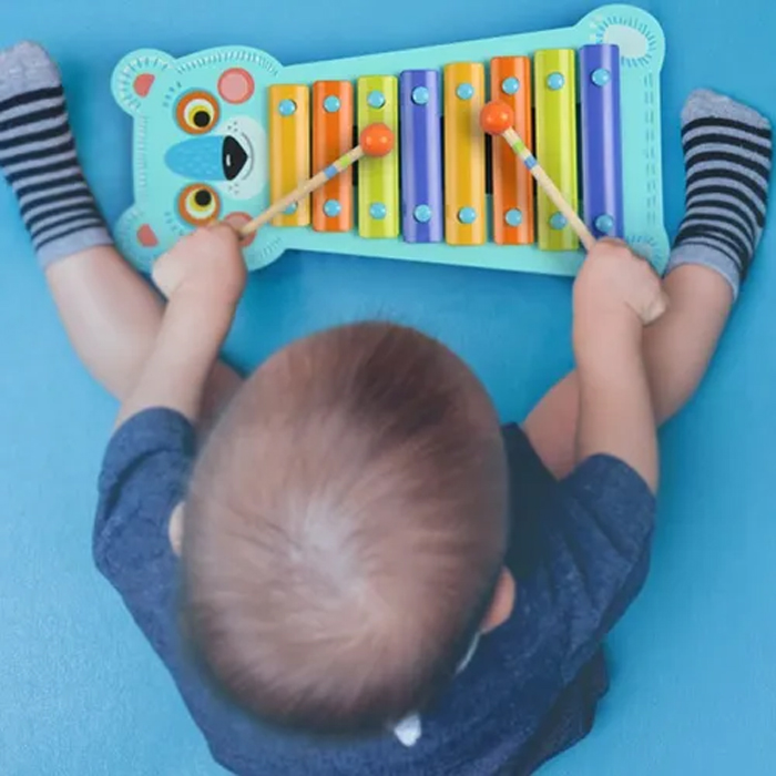 Xilófono Instrumento Juguete Infantil Música Niños Mideer