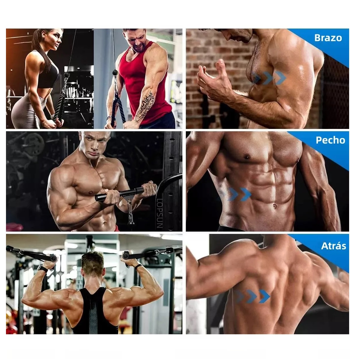 Set Equipo Fitness Gimnasio Polea Cable Brazo Biceps Triceps 