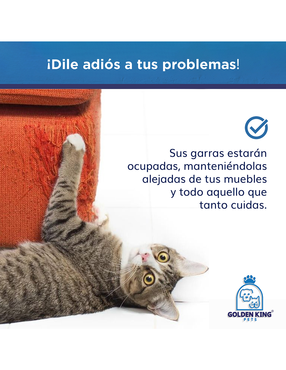 Cama Rascador Casa para Gatos Mexicano Incluye Catnip mini jumbo Azul