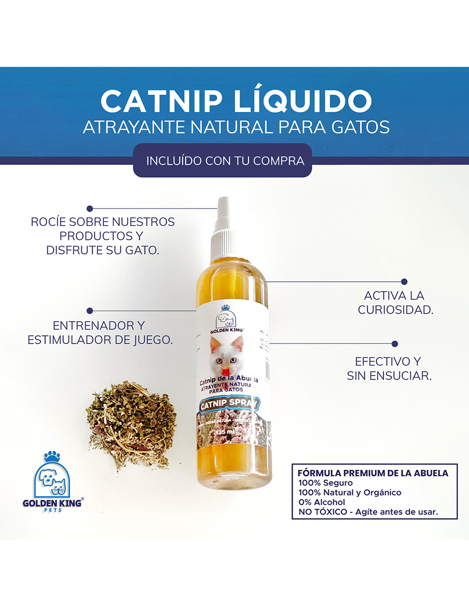 Cama Rascador Casa para Gatos Mexicano Incluye Catnip mini jumbo Azul