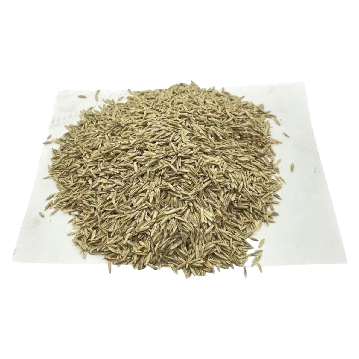 Semilla De Pasto Ingles Ryegrass 1kg