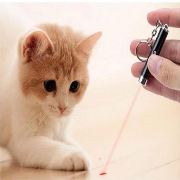 Láser Rojo para Mascotas MXLAC-005-5 5 pzas Láser de Luz Roja Alcance 50m 3,0V Potencia de Salida 5MW 3 x LR41 incluidas, CatLas