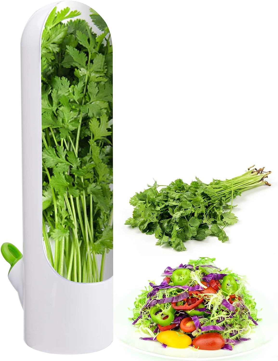 Conservador De Hierbas Recipiente Hermético Cilantro 3 Pzs