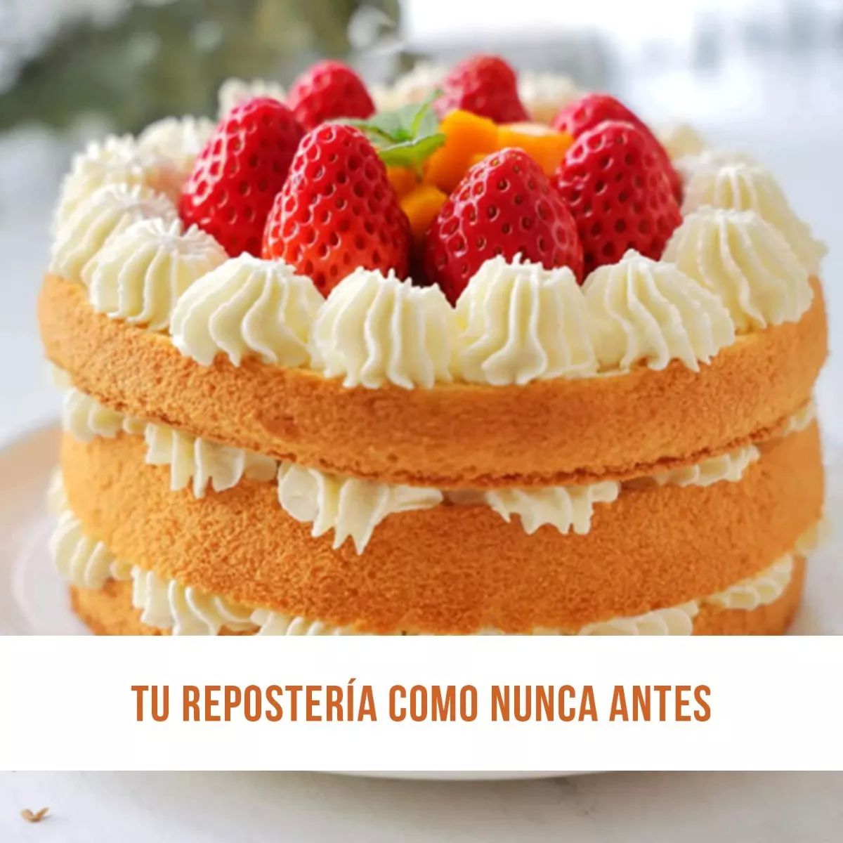 Maquina Churrera Duya Para Hacer Churros Rellenos Manual