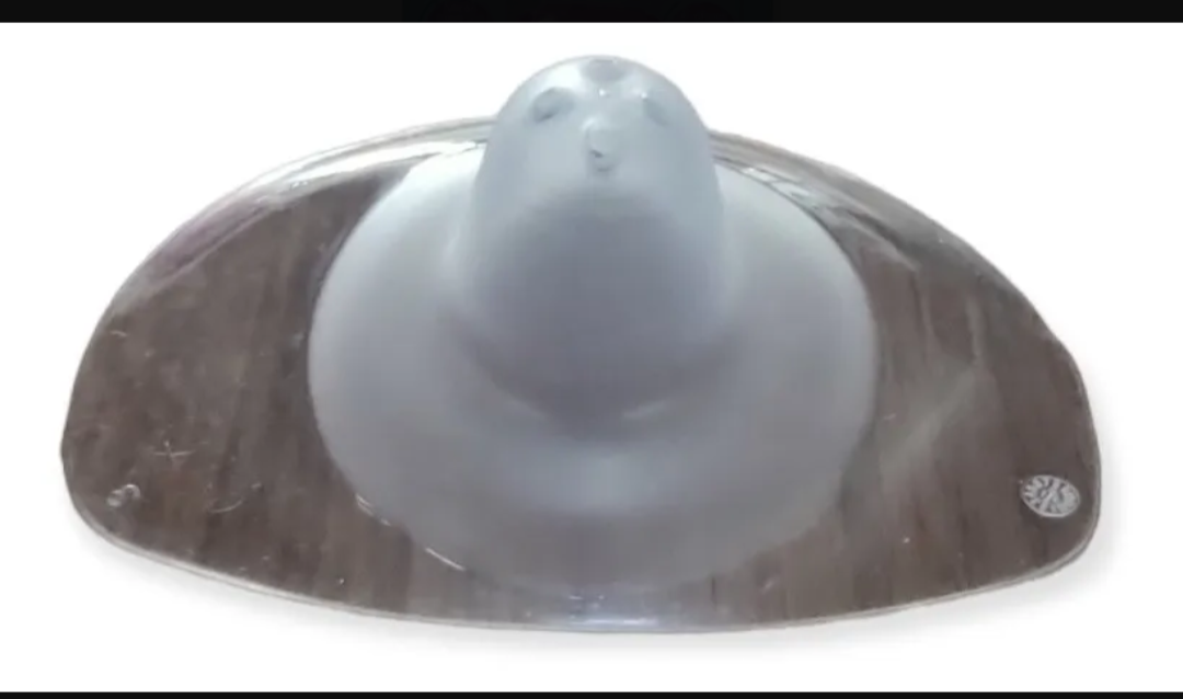 Pezoneras De Lactancia Evenflo Silicona Estuche 0m+ 2 Piezas