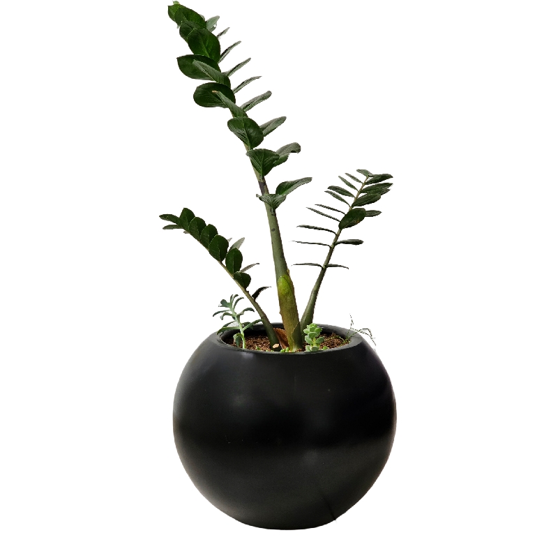 Maceta de Fibra de Vidrio Modelo Burbuja Mediana Green Boutique