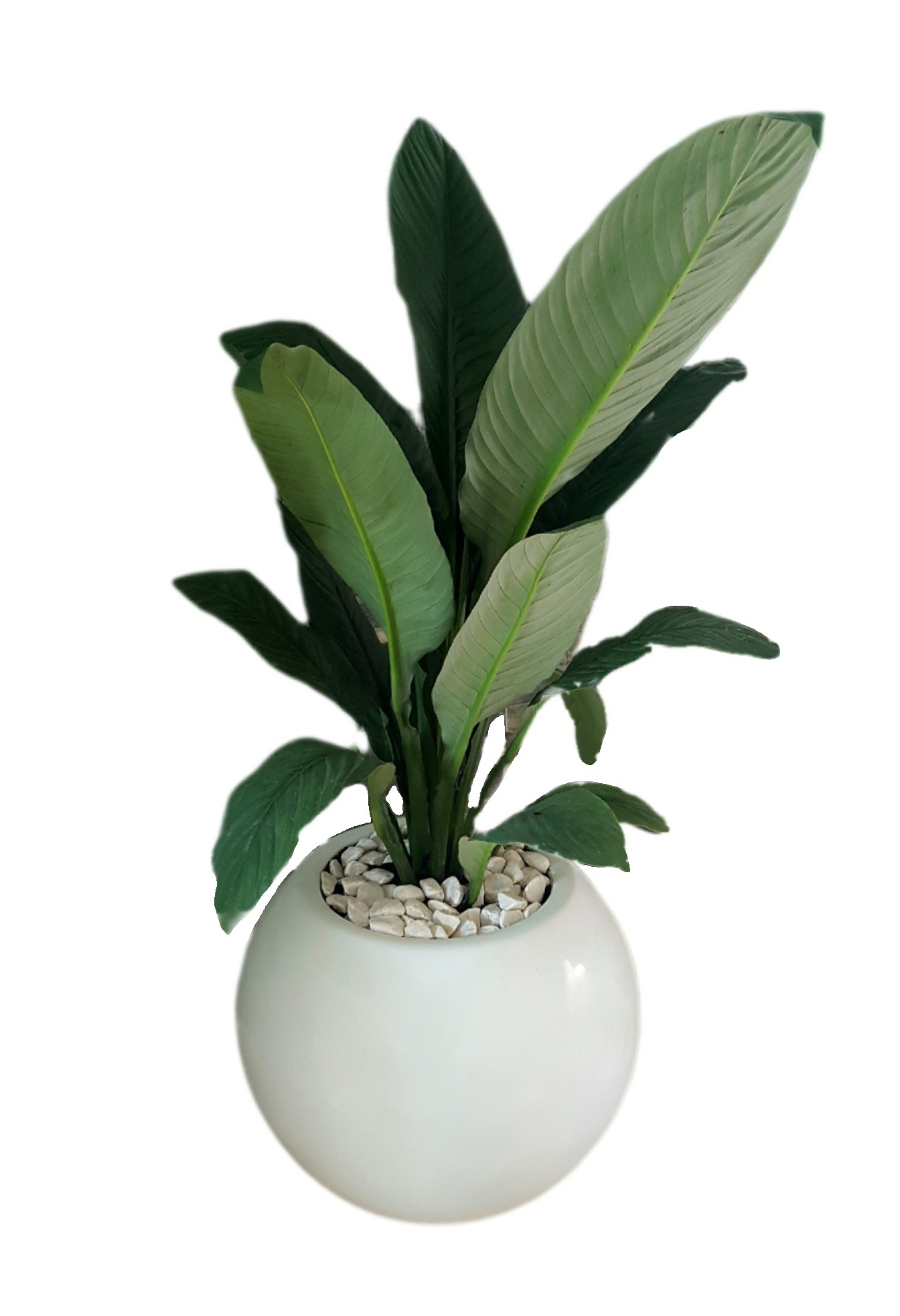 Maceta de Fibra de Vidrio Modelo Burbuja Mediana Green Boutique