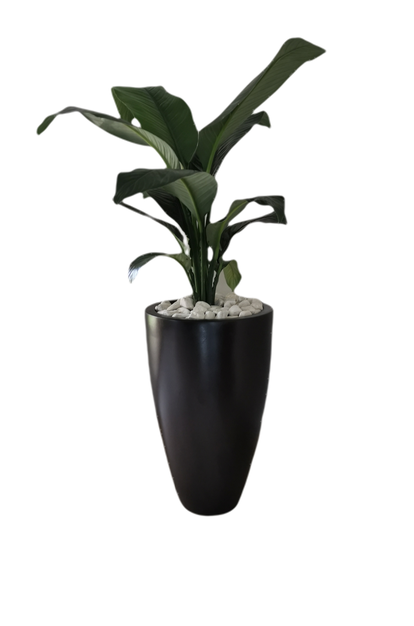 Maceta Cónica de Fibra de Vidrio Timbal Chico Green Boutique