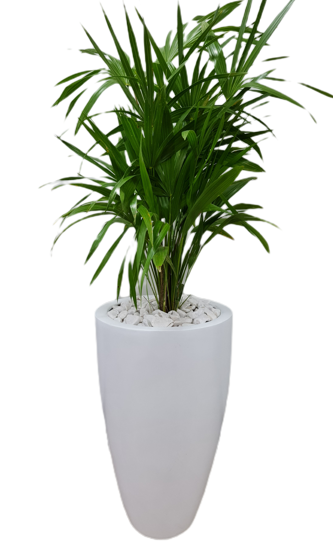 Maceta Cónica de Fibra de Vidrio Timbal Chico Green Boutique