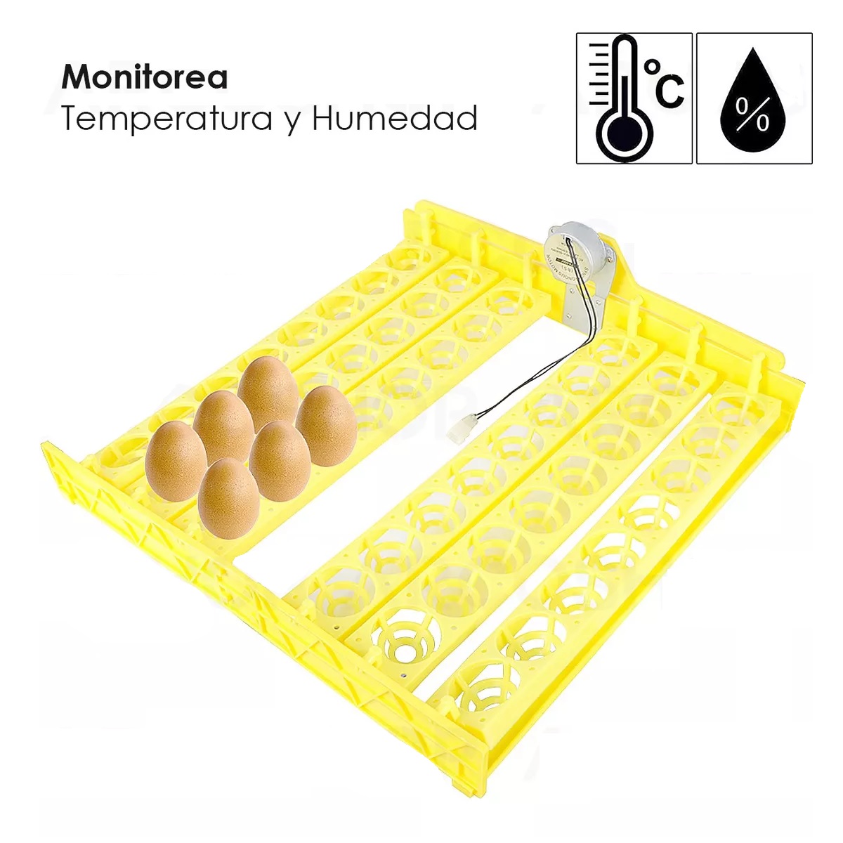 Incubadora 48 Huevos Pollos Y Aves Con Giro Automatico Hhd