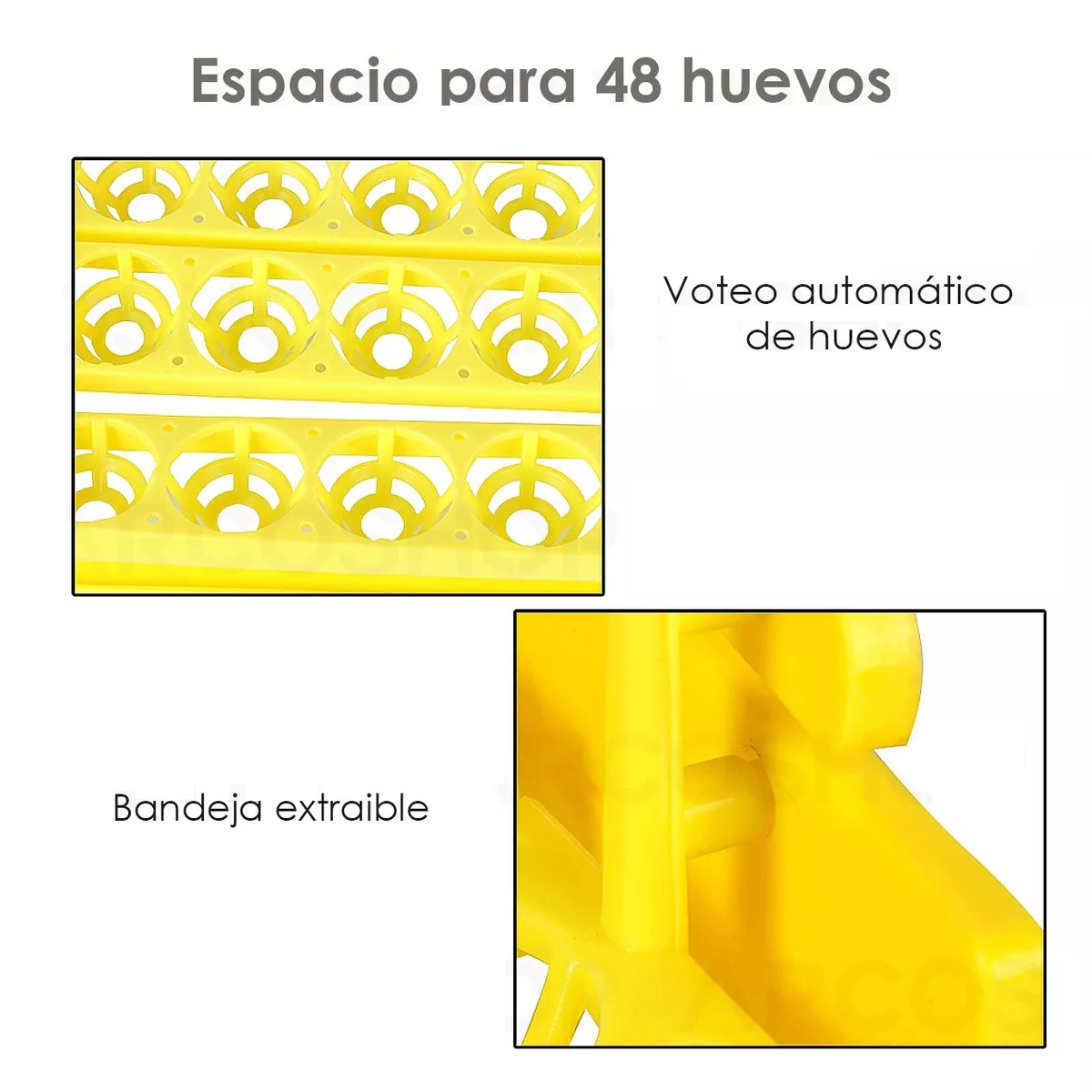 Incubadora 48 Huevos Pollos Y Aves Con Giro Automatico Hhd