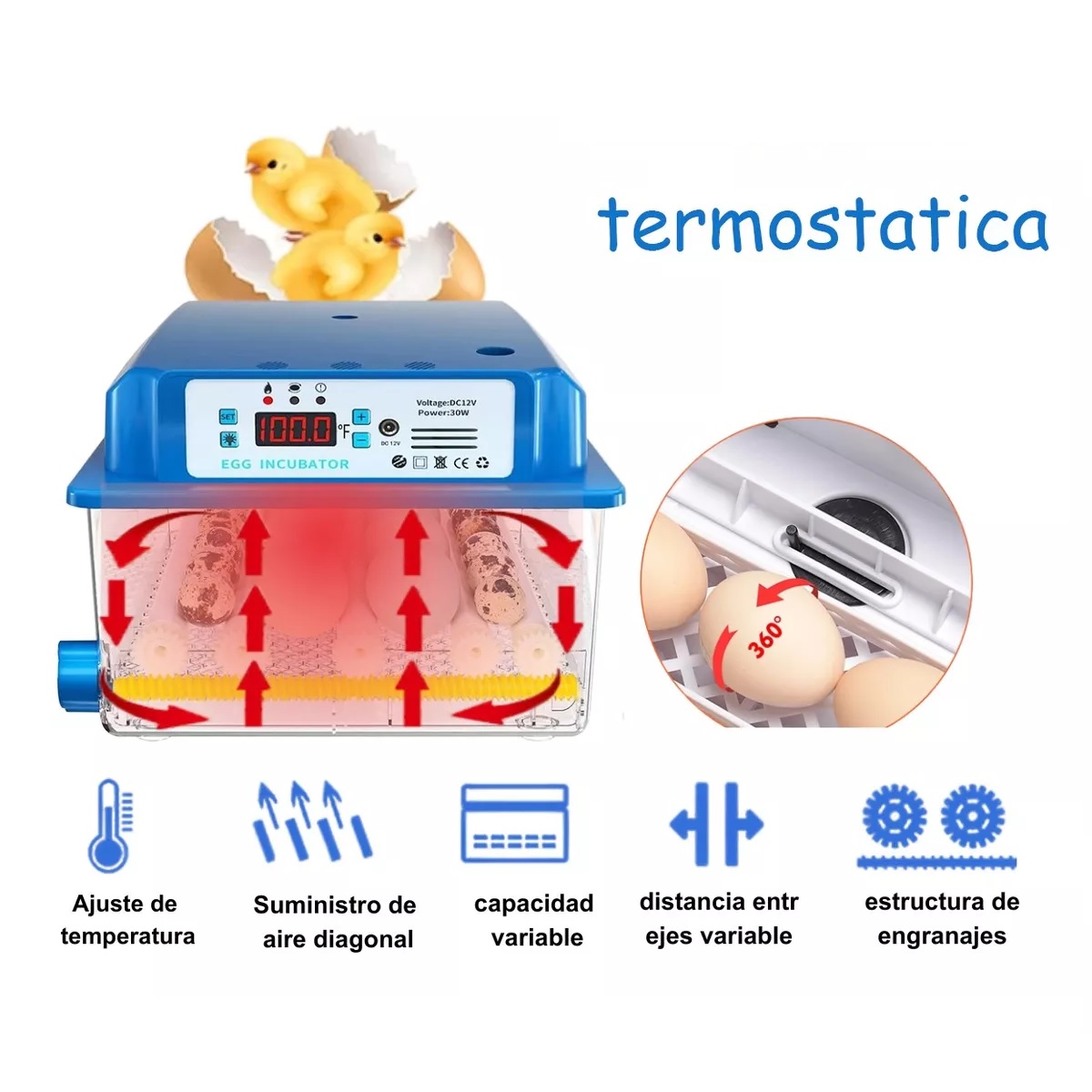 Incubadora Automática De Aves De Corral 16 Piezas