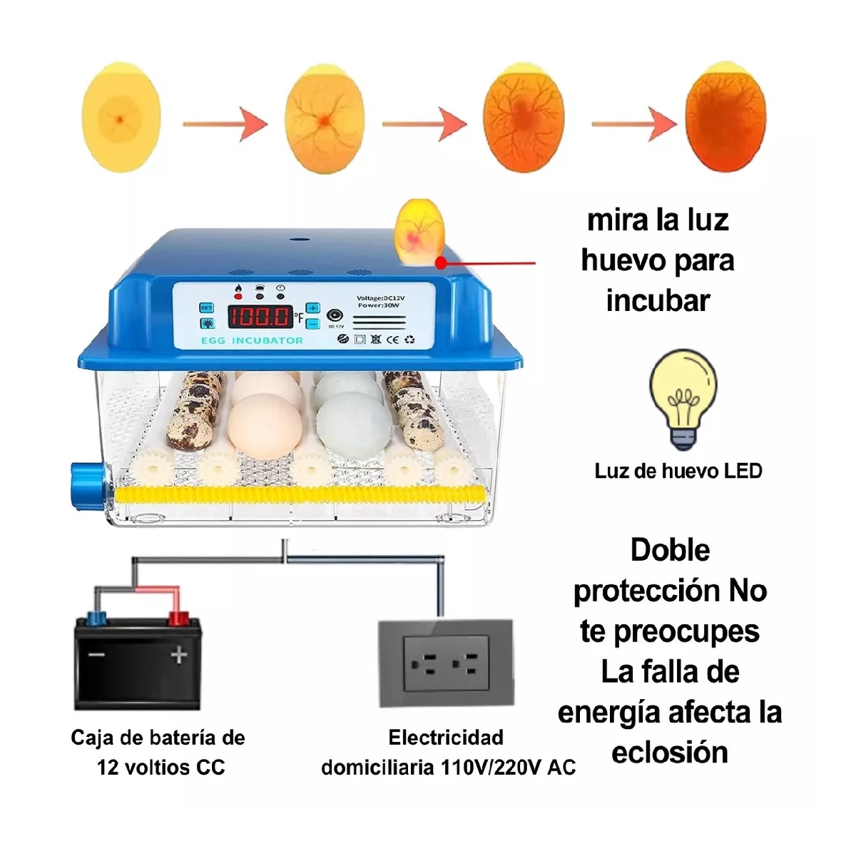 Incubadora Automática De Aves De Corral 16 Piezas