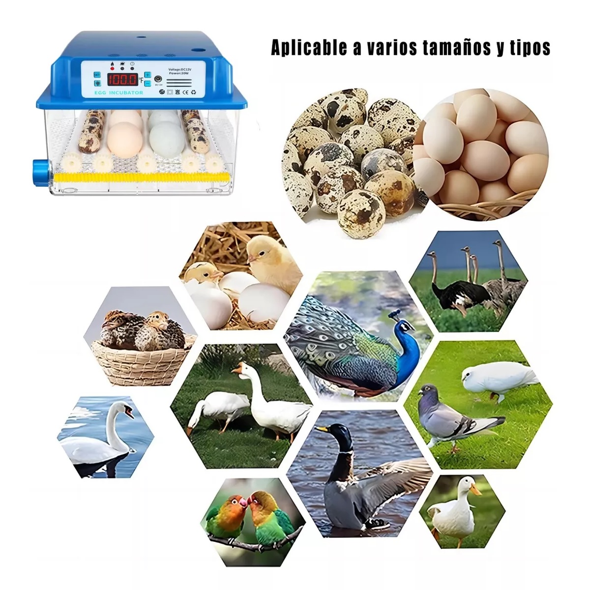 Incubadora Automática De Aves De Corral 16 Piezas