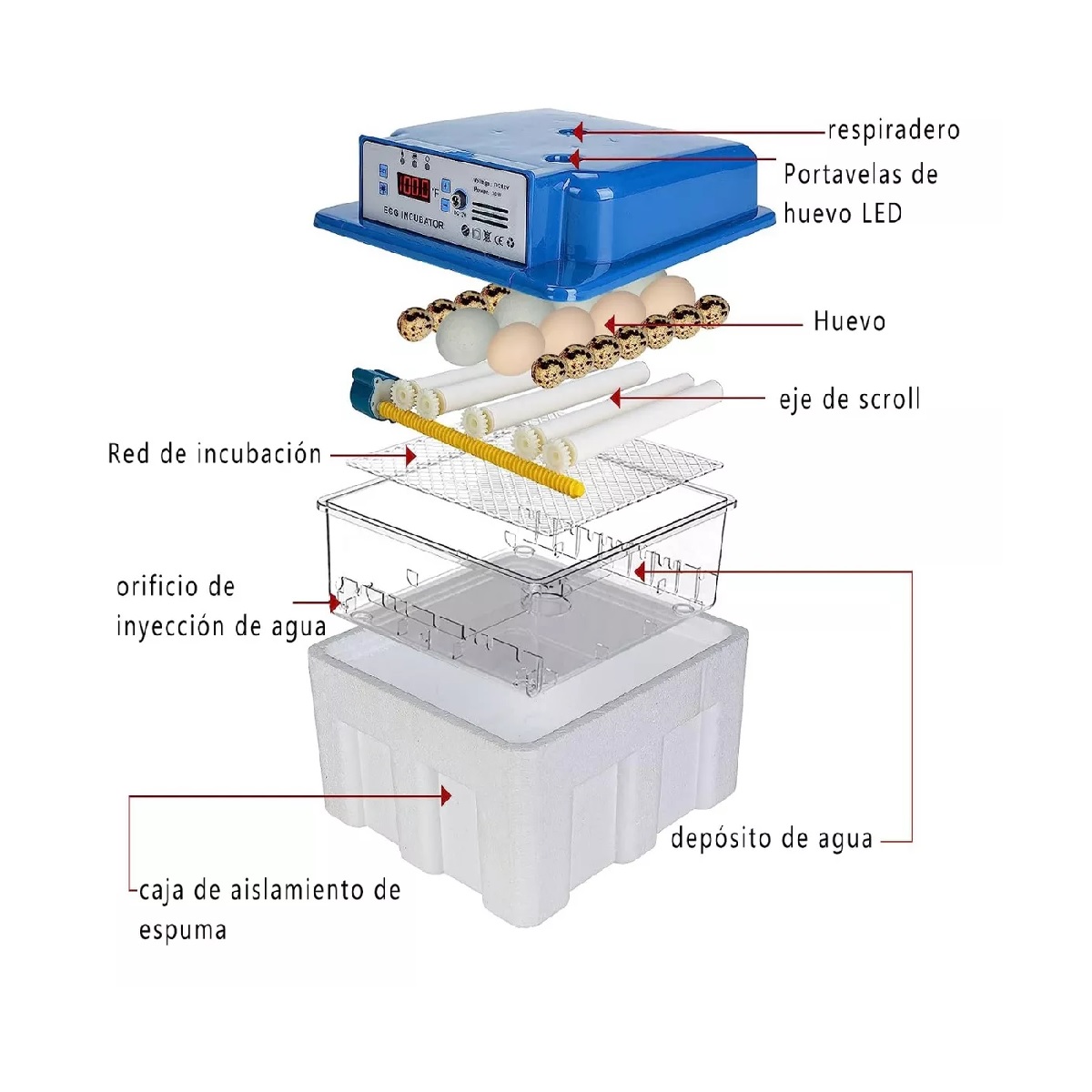 Incubadora Automática De Aves De Corral 16 Piezas