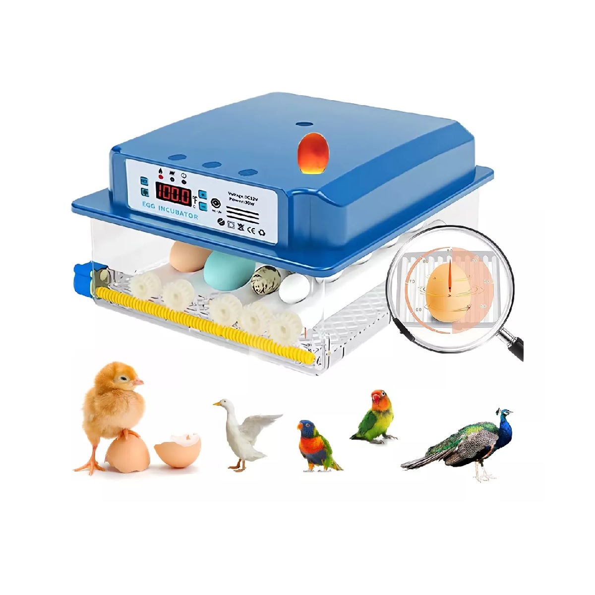 Incubadora Automática De Aves De Corral 16 Piezas