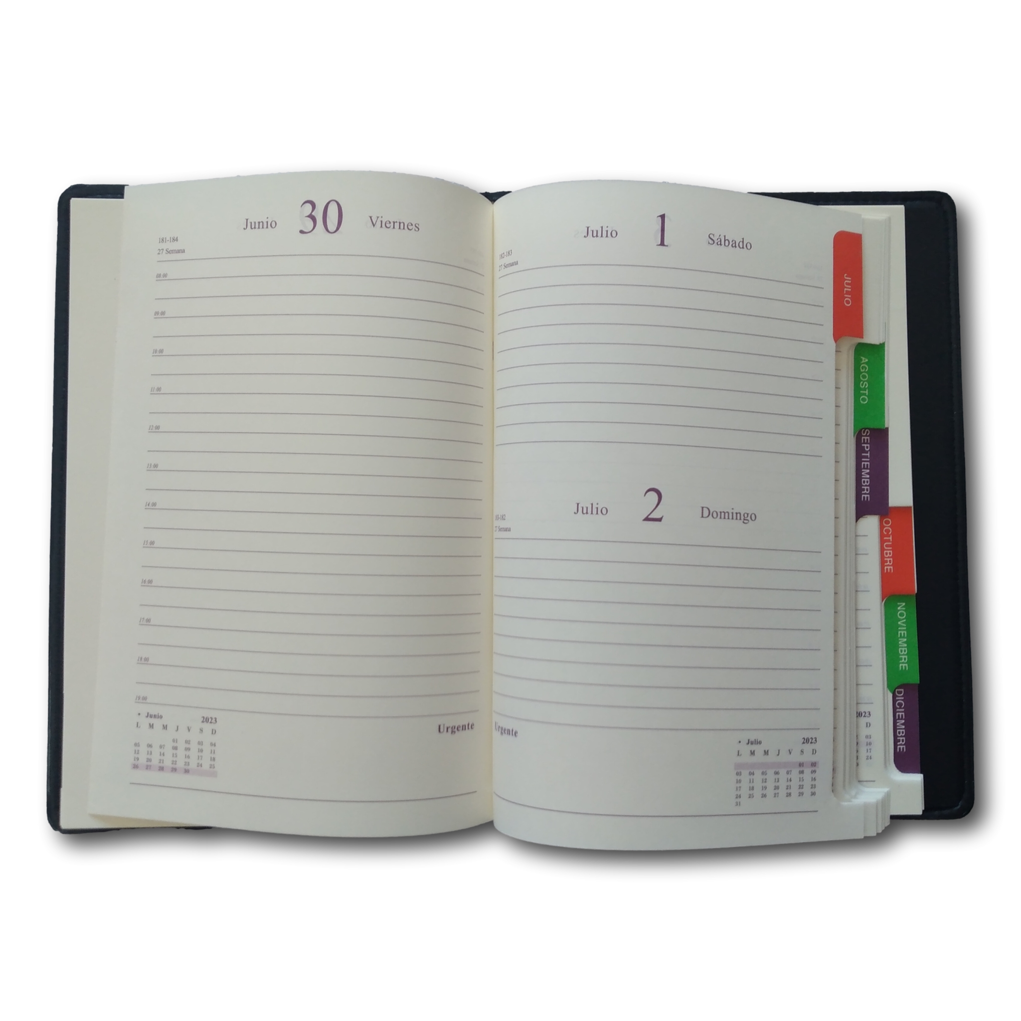 Agenda Diaria Planeadora Apuntes 2023 Pestañas Mensuales