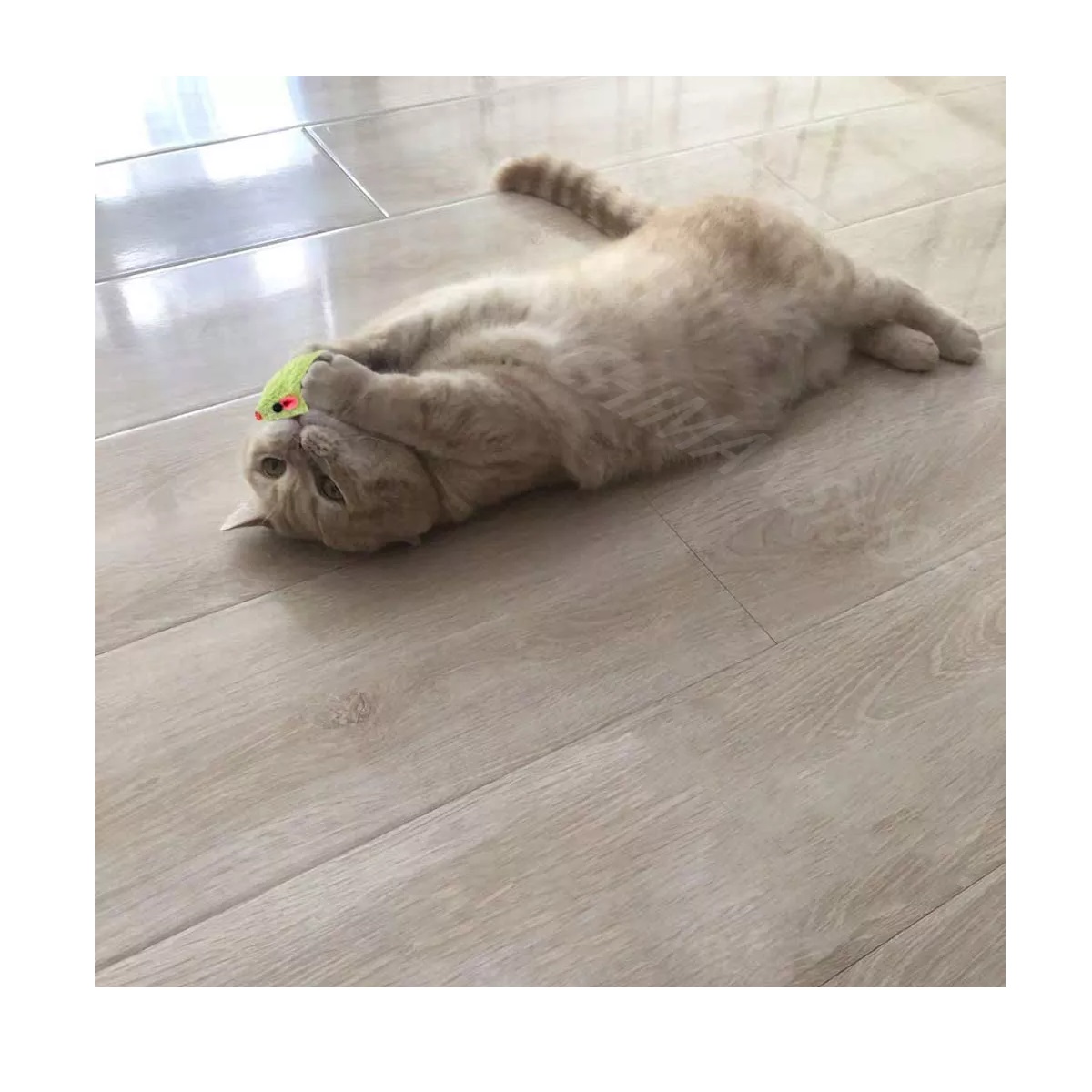 Set Juguetes Para Gatos Hierba Gatera De Ratones Interactiva 30pz