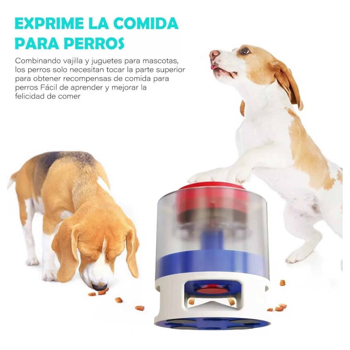 Dispensador De Alimentador Automatico Para Perros Y Gatos
