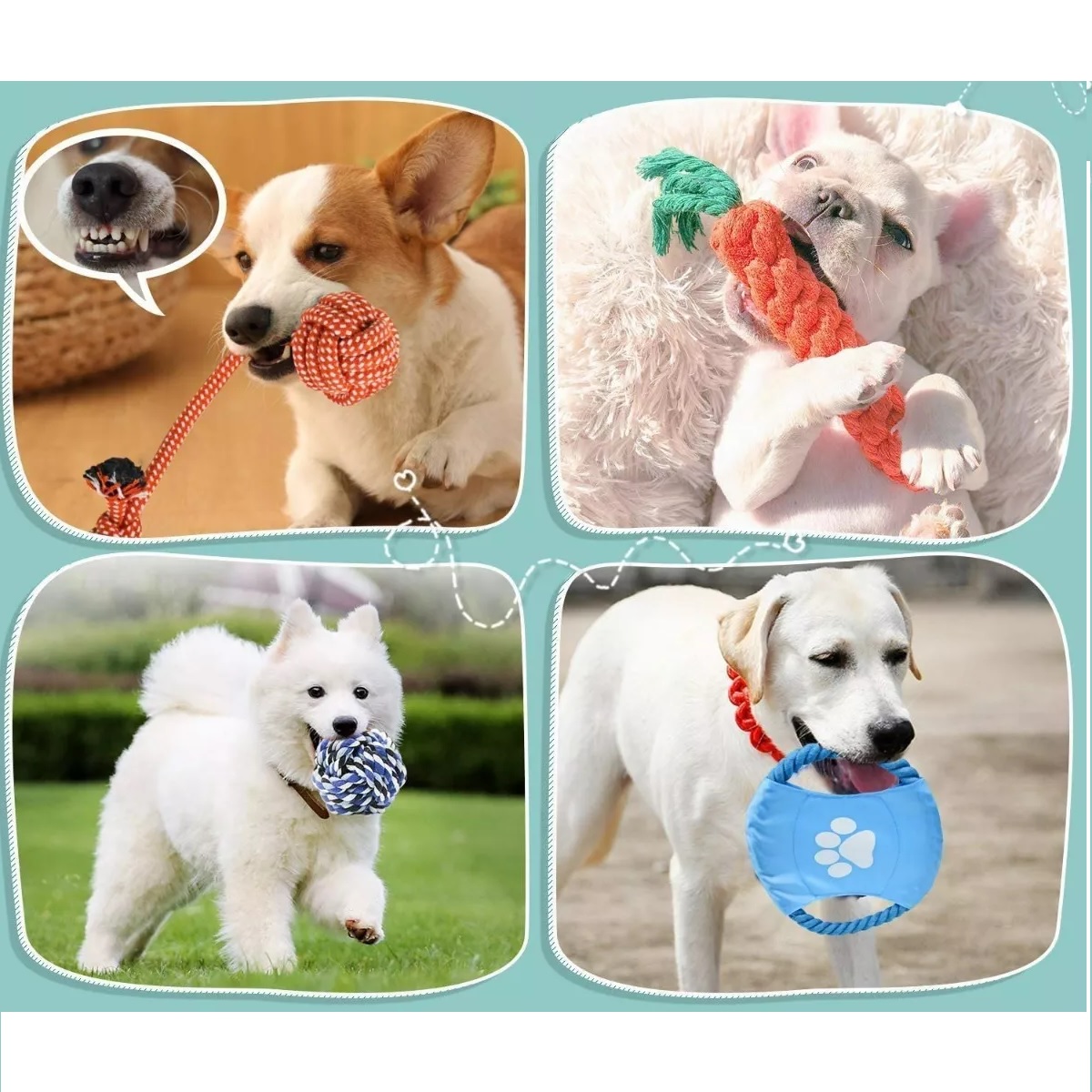 Set Juguetes De Cuerda Para Perro Morder Paquete De 10pz