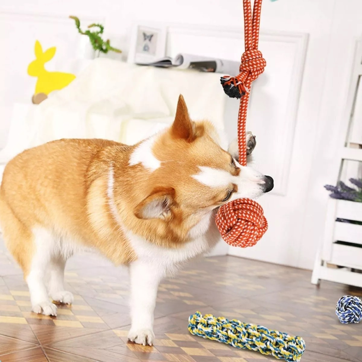 Set Juguetes De Cuerda Para Perro Morder Paquete De 10pz