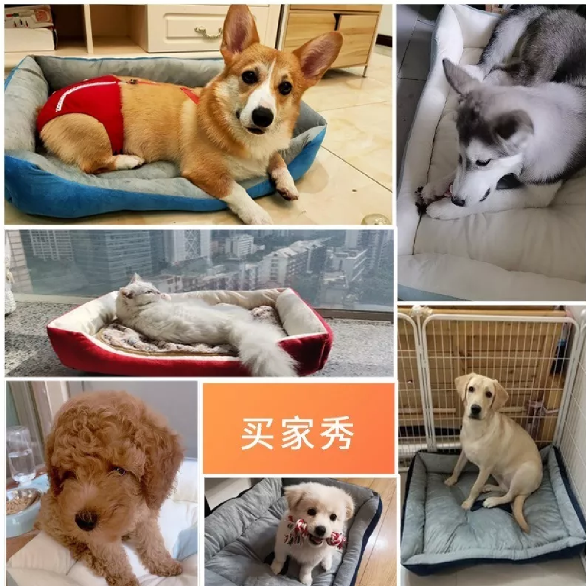 Cama Impermeable De 70x55 Mascotas, Gatos Y Perros Medianos