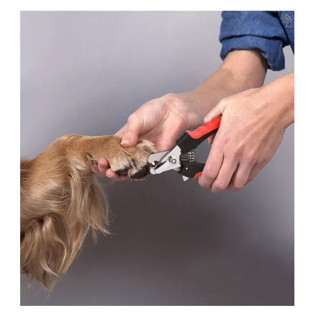 Kit Corta Uñas Para Perro O Gato Mascota Chico Grande + Lima