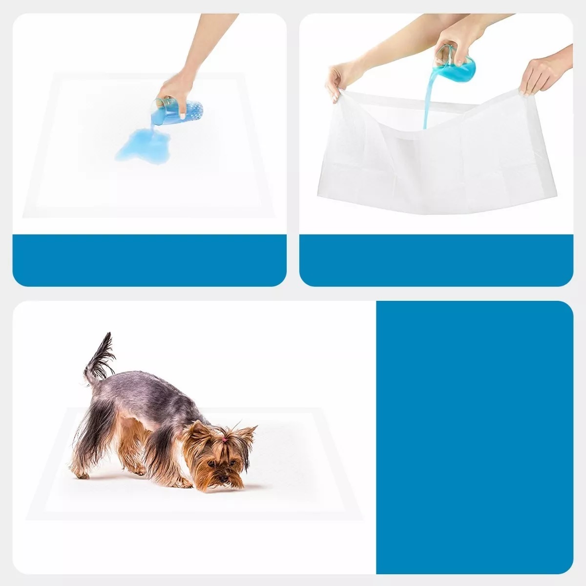 Set Pañal Almohadillas De Entrenamiento Para Perros Y Gatos 50pz