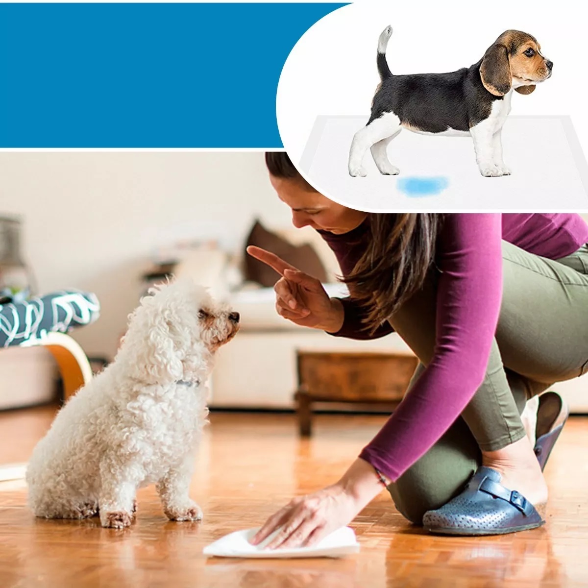 Set Pañal Almohadillas De Entrenamiento Para Perros Y Gatos 50pz