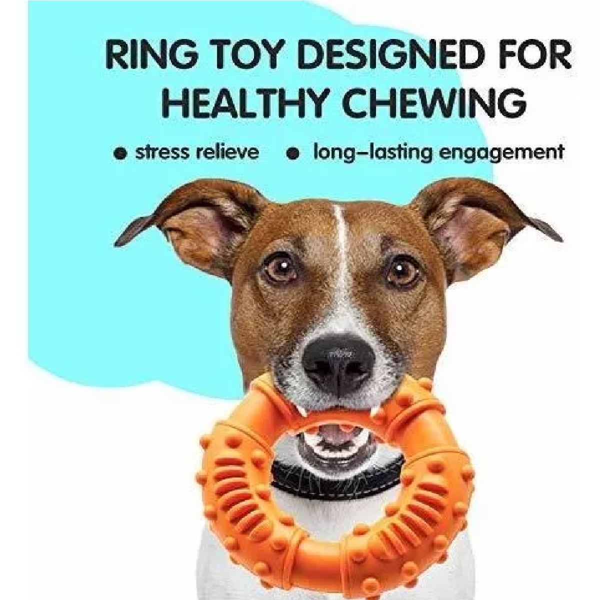 Set Juguetes Mascar Peluche Para Cachorros Pelotas Perro Frisbee