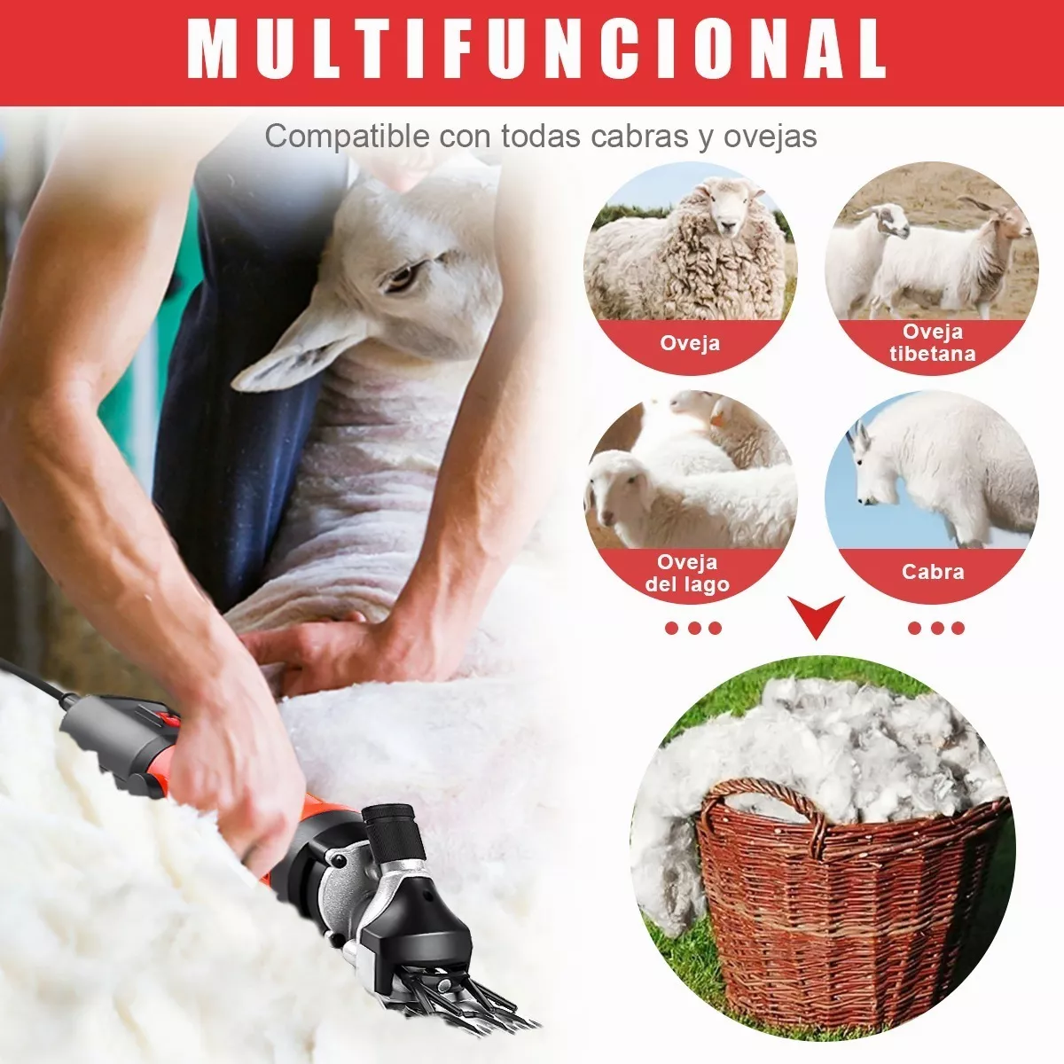 Trasquiladora Rasuradora Para Perros Cabras Ovejas 850w Roja