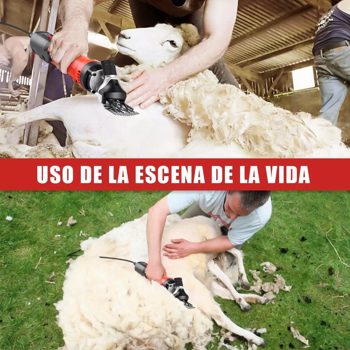 Trasquiladora Rasuradora Para Perros Cabras Ovejas 850w Roja