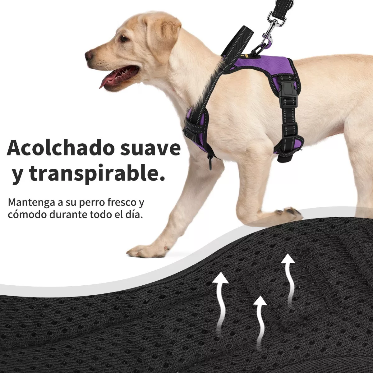 Pechera Arnés Para Perro Regulable Con Bandas Reflectivas Morado XL