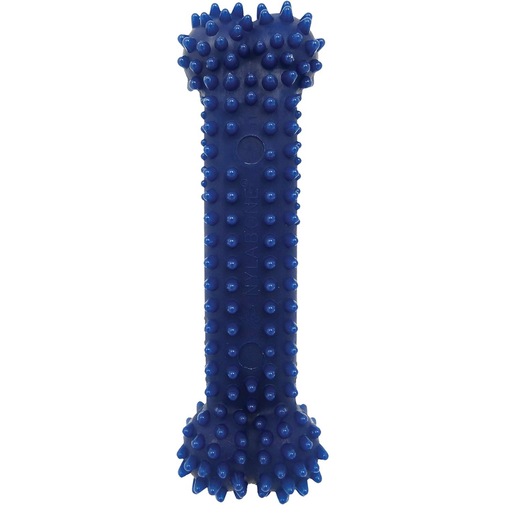 JUGUETE NYLABONE MODERATE DENTAL CHEW