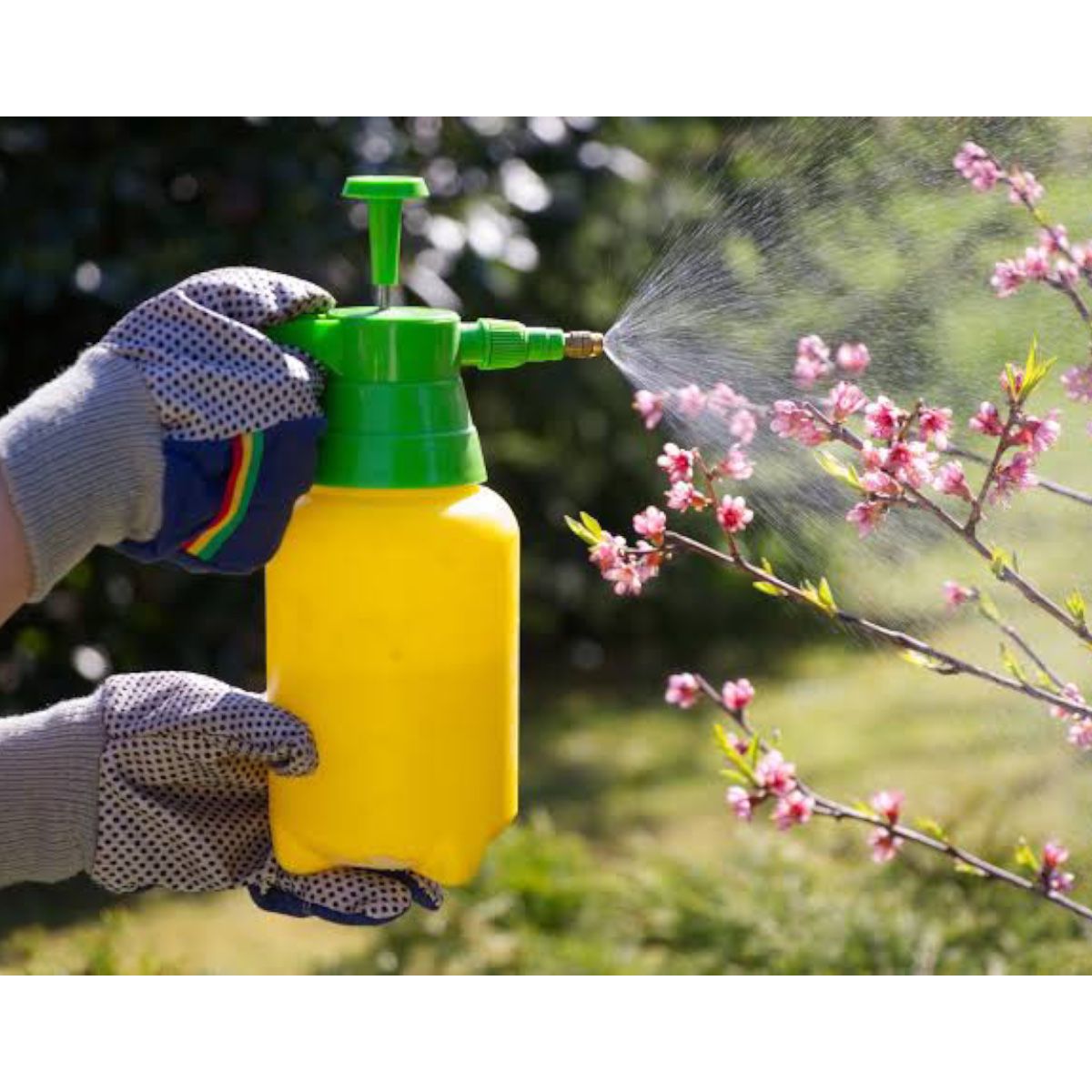 Ferti Plus Fertilizante Foliar 1 Lt