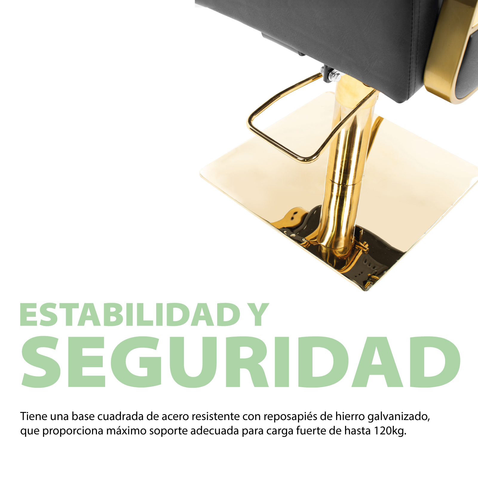 Silla de Peluquería Onof Sillón Hidráulico Reclinable Equipo de Salón de Belleza Negro/Dorado