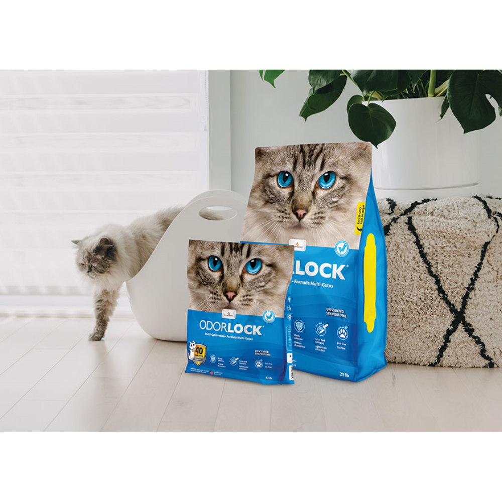 Arena aglutinante de arcilla Odour Lock para gato