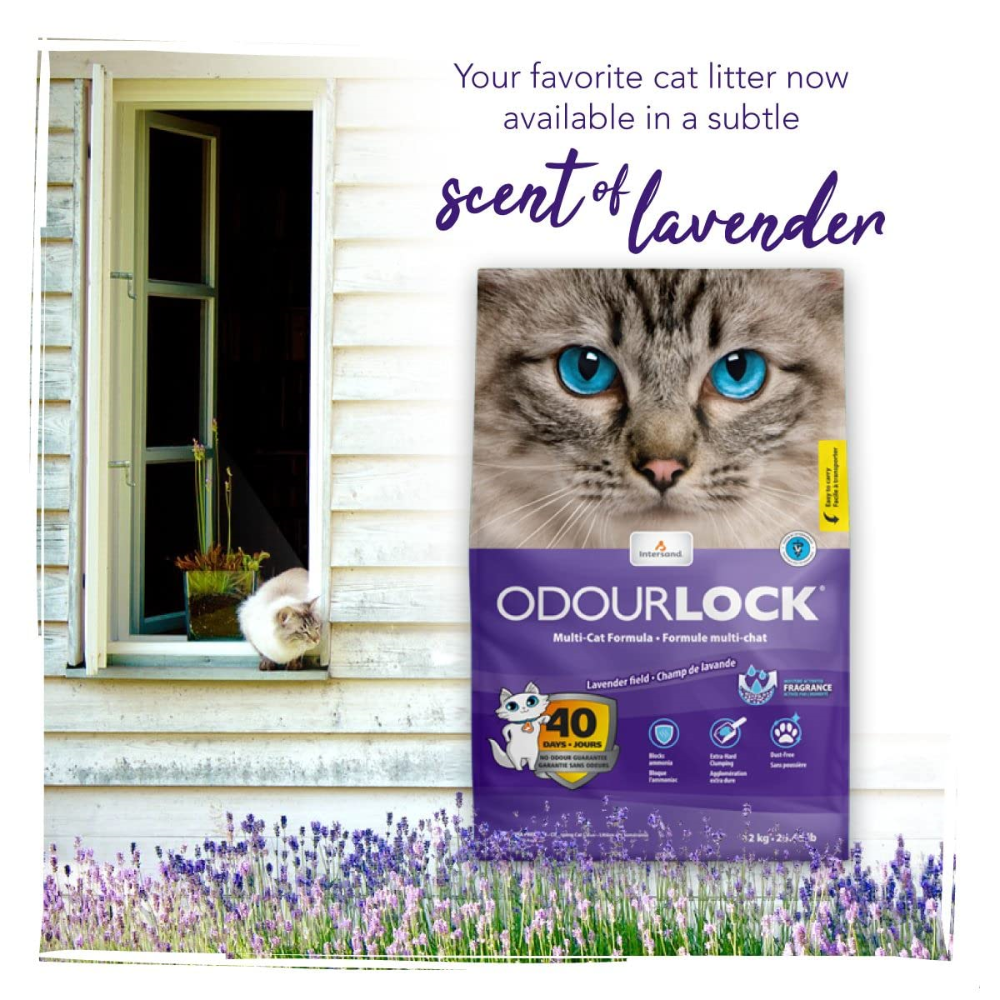 Arena aglutinante de arcilla Odour Lock aroma lavanda para gato