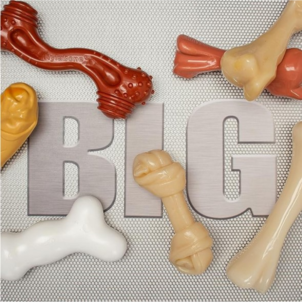 JUGUETE NYLABONE DURACHEW BIG CHEW PIERNA DE PAVO ORIG