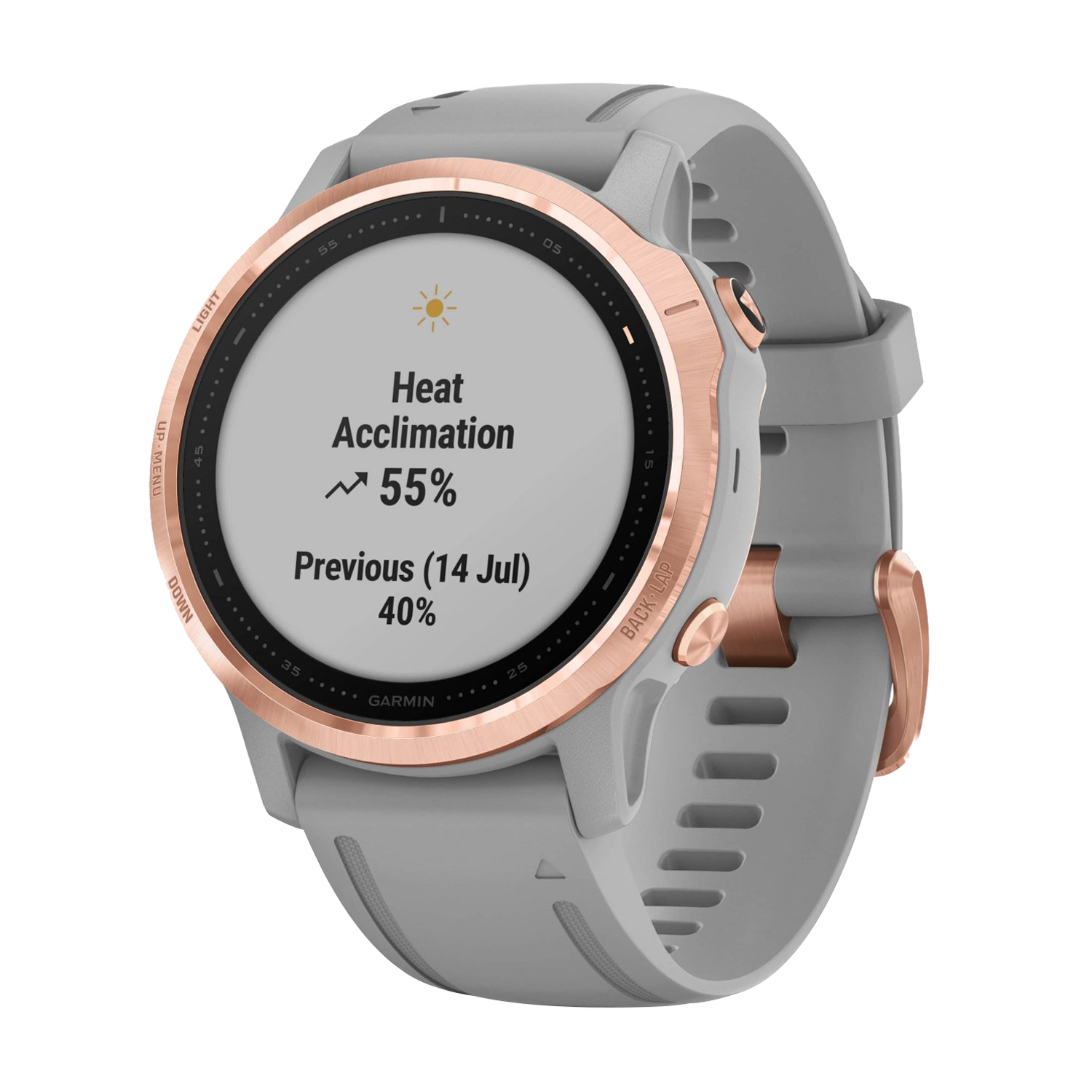 GARMIN WATCH FENIX 6S SAPPHIRE (010-02159-23) GRIS